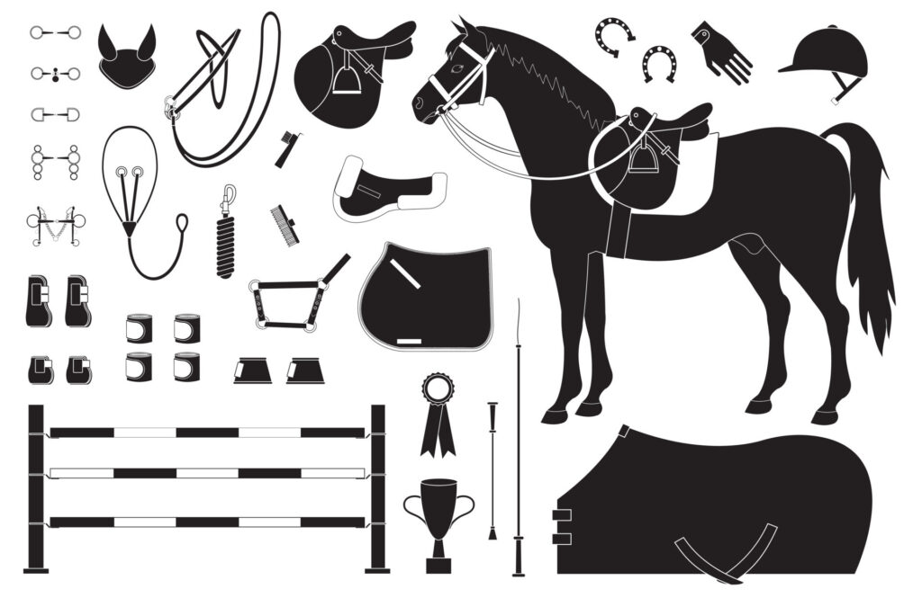 Horse Riding Equipment