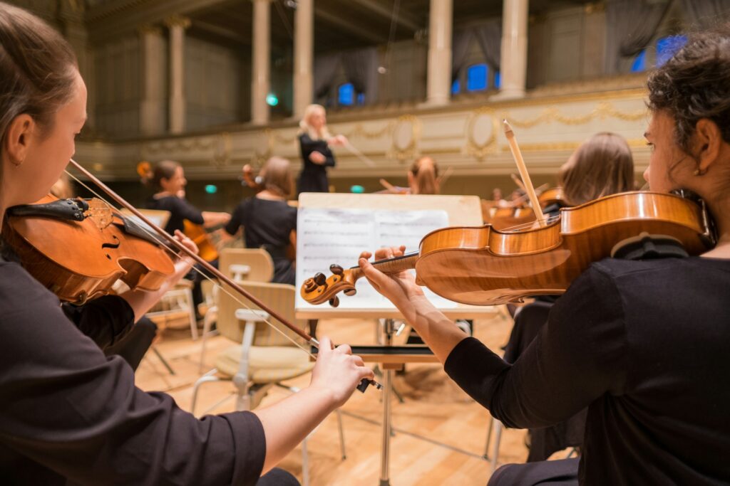 instrument that contains strings nyt